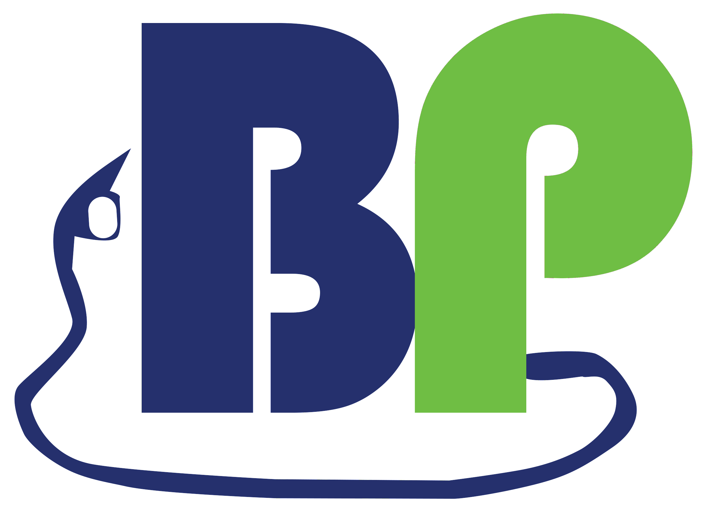 Bambus Petrol Logo